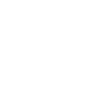 Voice